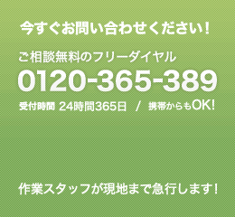 今すぐお問い合わせください！
